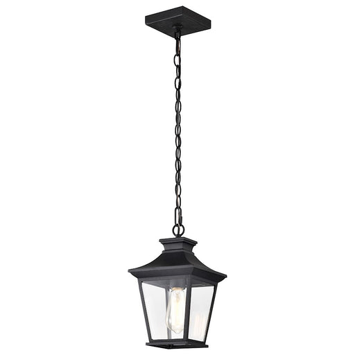 Nuvo Lighting Jasper 1 Light Outdoor Hanging Lantern, Black /Clear - 60-5746