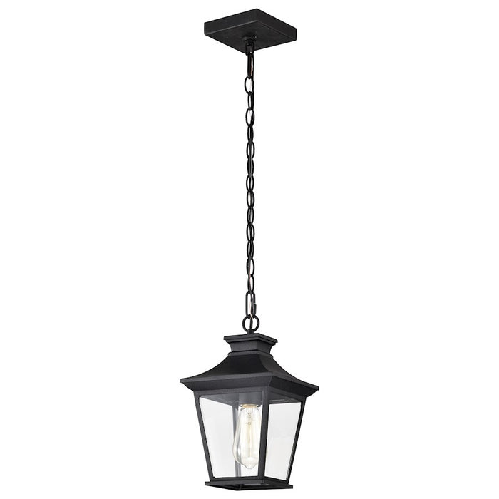 Nuvo Lighting Jasper 1 Light Outdoor Hanging Lantern, Black /Clear