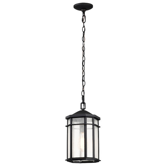 Nuvo Lighting Raiden 1 Light Outdoor Hanging Lantern, Black/Seeded - 60-5759