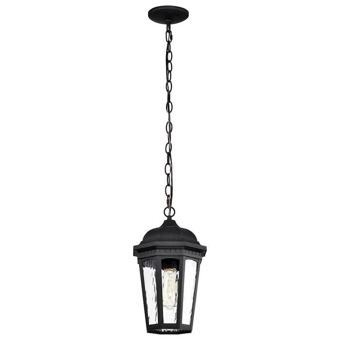 Nuvo Lighting East River 1 Lt Outdoor Hanging Lantern, Black/Water