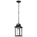 Nuvo Lighting Stillwell 1 Light Outdoor Hanging Lantern, Black/Water - 60-5958