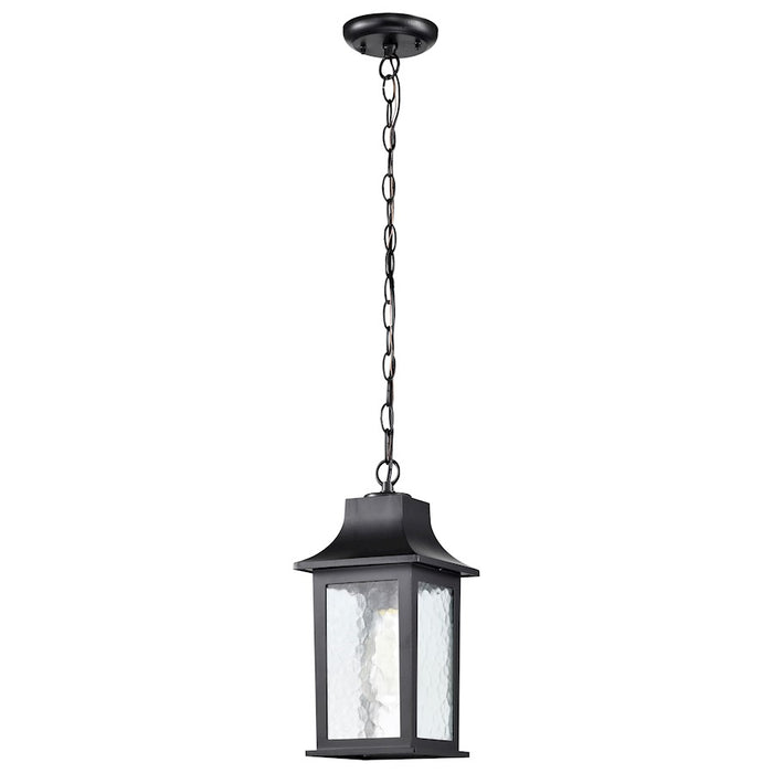 Nuvo Lighting Stillwell 1 Light Outdoor Hanging Lantern, Black/Water
