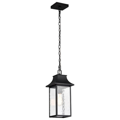 Nuvo Lighting Austen 1 Light Outdoor Hanging Lantern, Black/Water - 60-5996