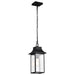 Nuvo Lighting Austen 1 Light Outdoor Hanging Lantern, Black/Water - 60-5996