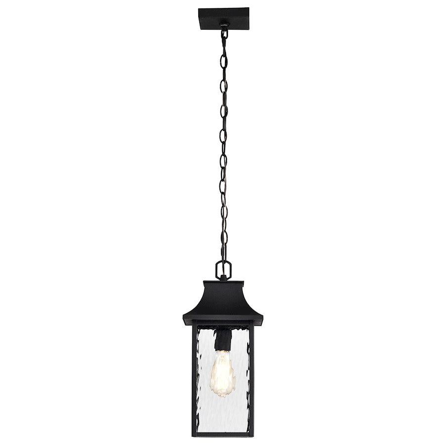 Nuvo Lighting Austen 1 Light Outdoor Hanging Lantern, Black/Water