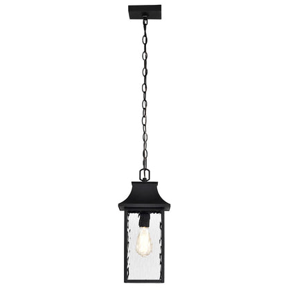 Nuvo Lighting Austen 1 Light Outdoor Hanging Lantern, Black/Water