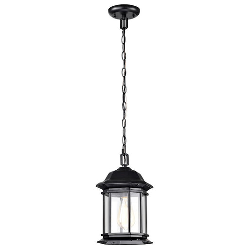 Nuvo Lighting Hopkins 1 Light Outdoor Hanging Lantern, Black/Clear - 60-6117