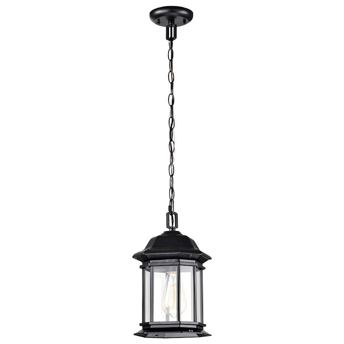 Nuvo Lighting Hopkins 1 Light Outdoor Hanging Lantern, Black/Clear