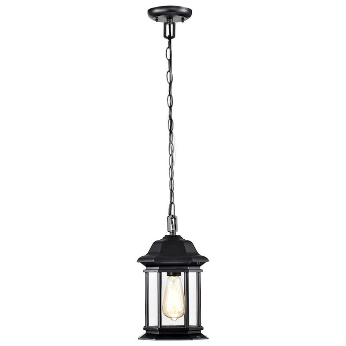 Nuvo Lighting Hopkins 1 Light Outdoor Hanging Lantern, Black/Clear
