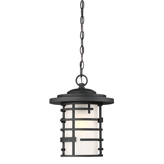 Nuvo Lighting Lansing 1 Light 14" Hanging Lantern, Etched/Black - 60-6405