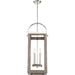 Nuvo Lighting Bliss 4 Light Pendant Driftwood, Polished Nickel Accents - 60-6481