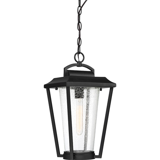 Nuvo Lighting Lakeview 1 Light Hanging Lantern, Clear Seed/Aged Bronze - 60-6514