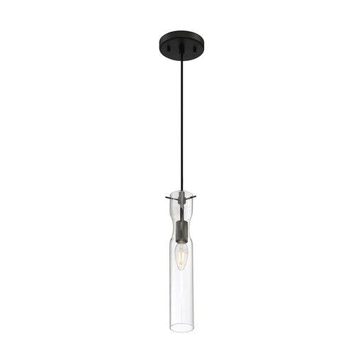 Nuvo Lighting SpyGlass, 1 Light Mini Pendant, Clear Glass, Black - 60-6876