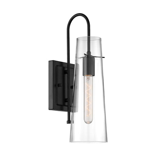 Nuvo Lighting Alondra 1 Light Sconce, Clear Glass, Black - 60-6879