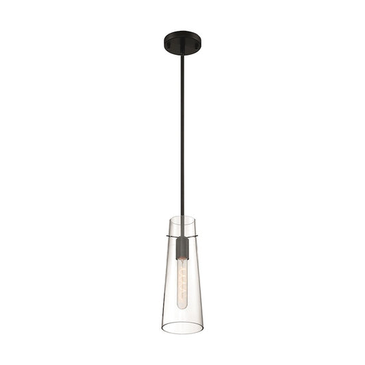 Nuvo Lighting Alondra 1 Light Mini Pendant, Clear Glass, Black - 60-6880