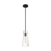 Nuvo Lighting Alondra 1 Light Mini Pendant, Clear Glass, Black - 60-6880