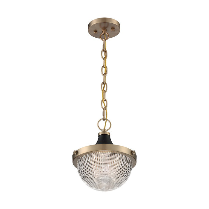 Nuvo Lighting Faro 1 Light 10" Pendant, Prismatic/Brass/Black - 60-7059
