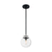 Nuvo Lighting Axis 1 Light Pendant, Clear, Black/Brushed Nickel - 60-7131