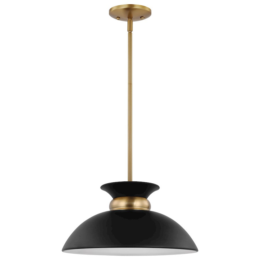 Nuvo Lighting Perkins 1 Light Small Pendant, Black/Burnished Brass - 60-7460