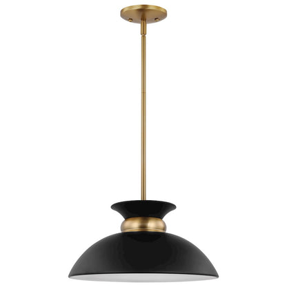 Nuvo Lighting Perkins 1 Light Small Pendant, Black/Burnished Brass - 60-7460