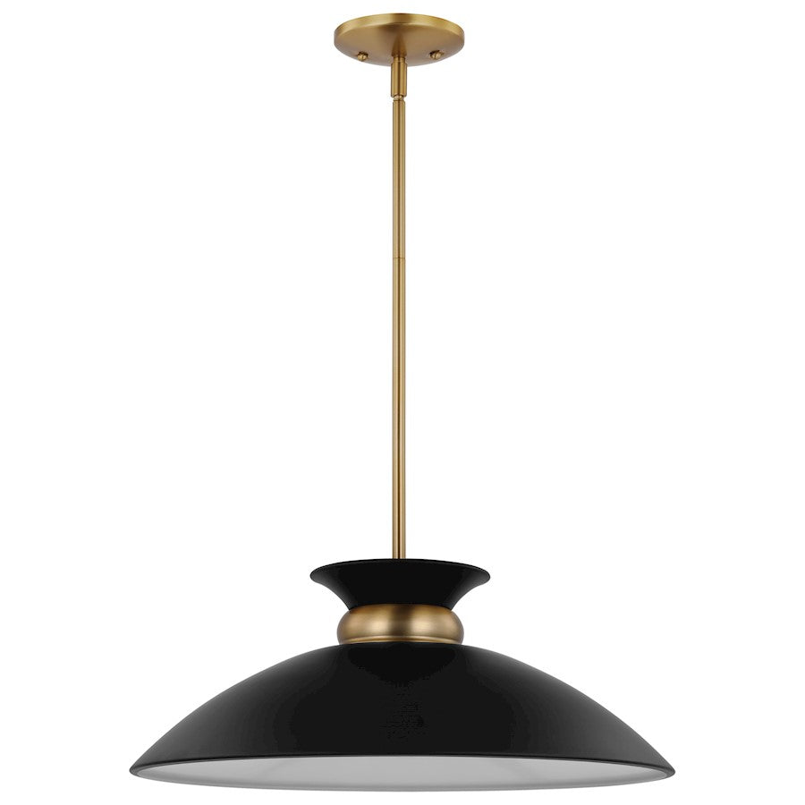 Nuvo Lighting Perkins 1 Light Medium Pendant, Black/Burnished Brass - 60-7461