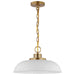 Nuvo Lighting Colony 1 Light Small Pendant, White/Burnished Brass - 60-7480
