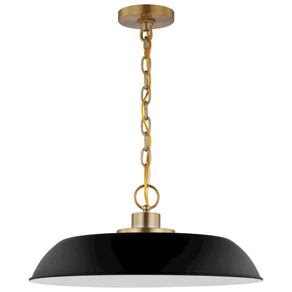 Nuvo Lighting Colony 1 Light Medium Pendant, Black/Burnished Brass - 60-7484