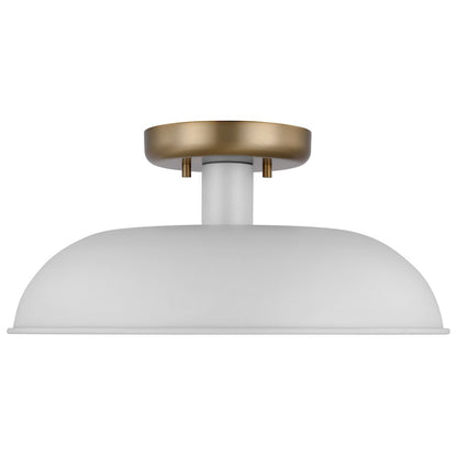 Nuvo Lighting Colony 1 Light Flush Mount, Black/Burnished Brass