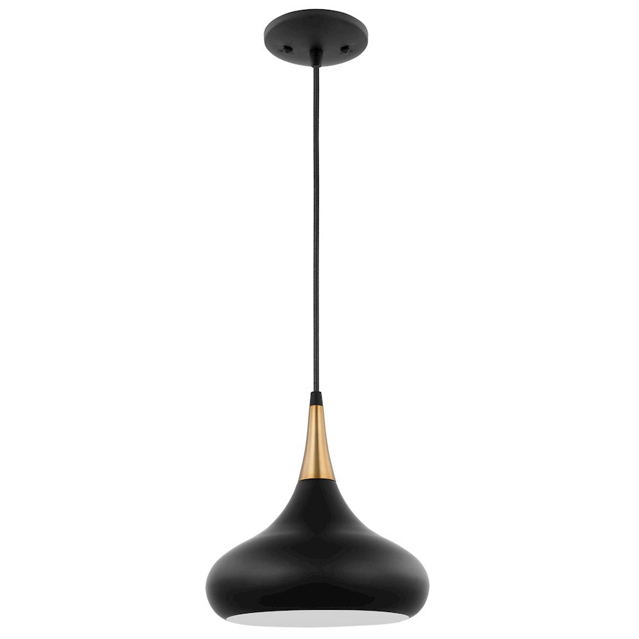 Nuvo Lighting Phoenix 1 Light Small Pendant, Black/Burnished Brass - 60-7511