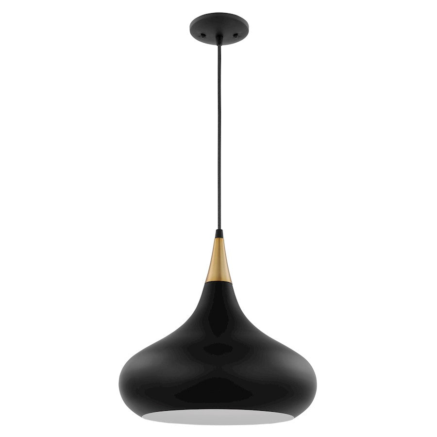 Nuvo Lighting Phoenix 1 Light Medium Pendant, Black/Burnished Brass - 60-7514