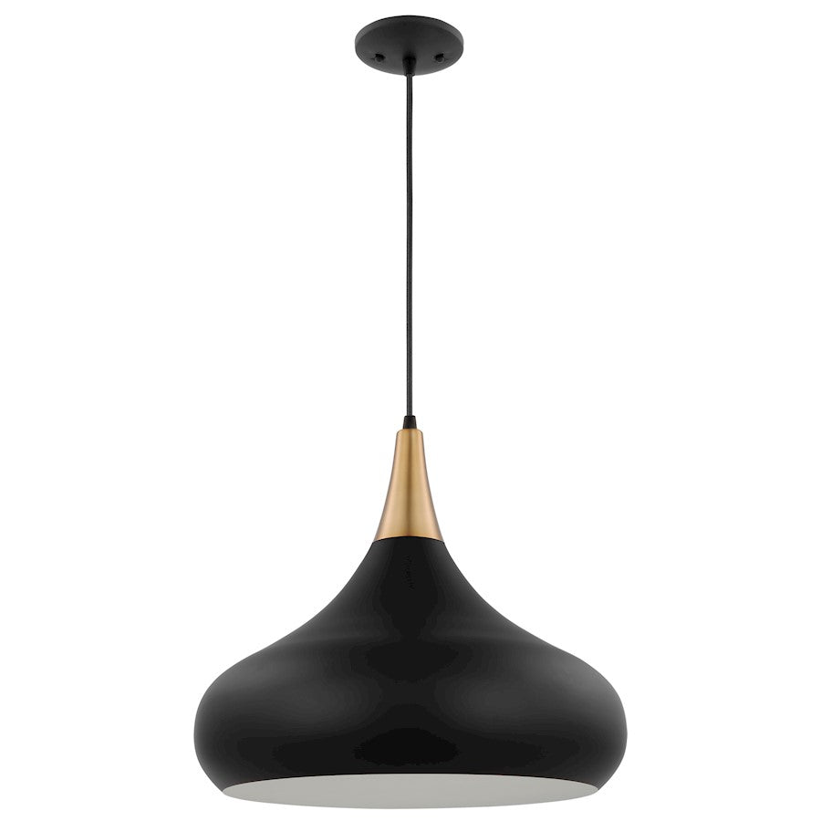 Nuvo Lighting Phoenix 1 Light Large Pendant, Black/Burnished Brass - 60-7517