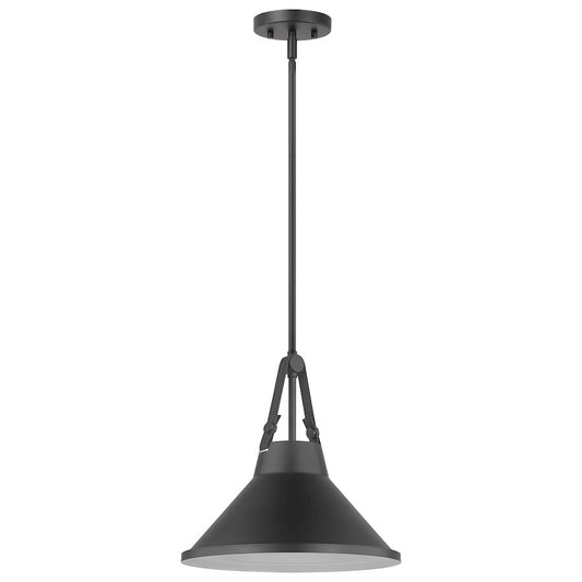 Nuvo Lighting Zelda 1 Light Pendant/Med. Base/60W, Black/Black Metal - 60-7645