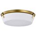 Nuvo Lighting Rowen 4 Light Flush Mount, Natural Brass/Etched White - 60-7751