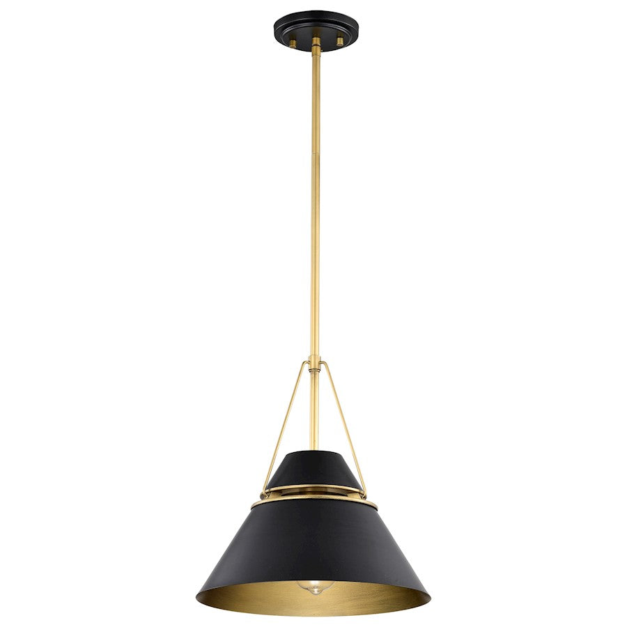 Nuvo Lighting Adina 1 Light Medium Pendant, Matte Black/Natural Brass - 60-7766