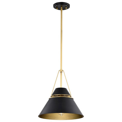 Nuvo Lighting Adina 1 Light Medium Pendant, Matte Black/Natural Brass - 60-7766