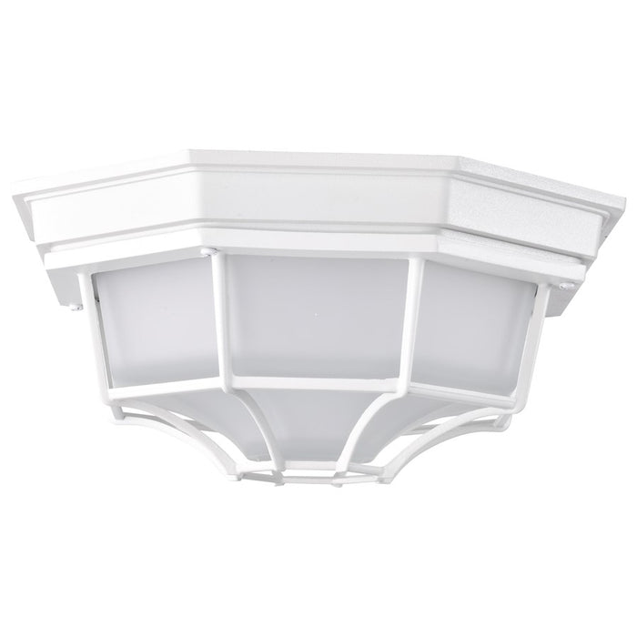 Nuvo Lighting LED Spider Cage, Frosted Glass