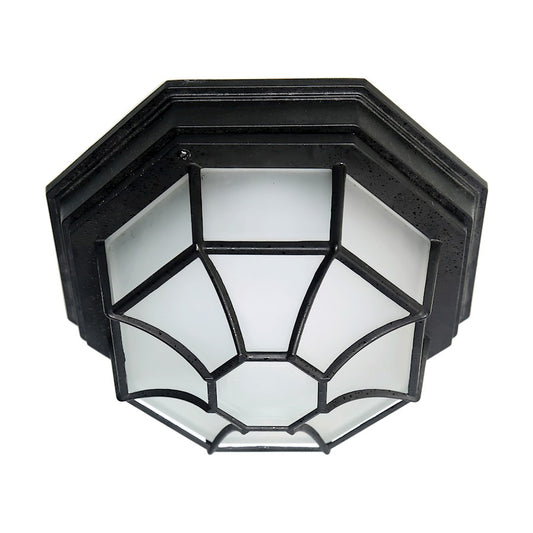 Nuvo Lighting LED Spider Cage Fixture Black, Frosted Glass - 62-1420