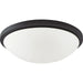 Nuvo Lighting Button LED 17" Flush, Frosted Glass, Black - 62-1444