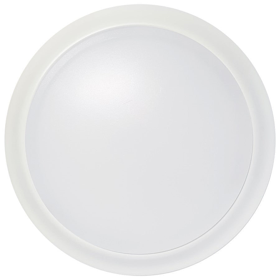 Nuvo Lighting LED Disk Light, White