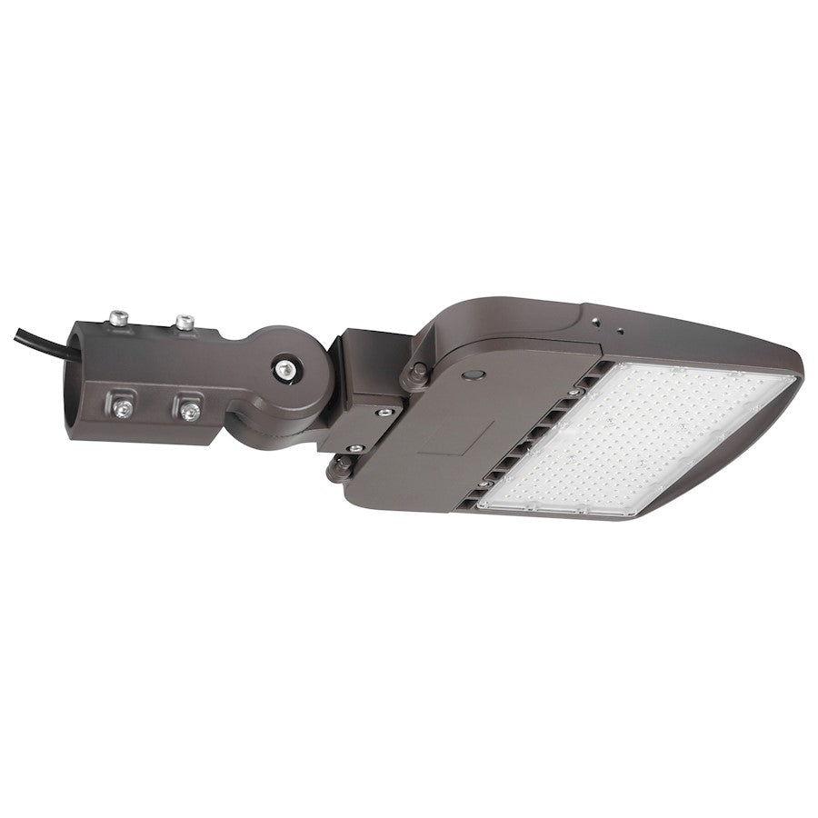 Nuvo Lighting LED Area Light, Type III 100W, Bronze/4000K, 120-277V - 65-840