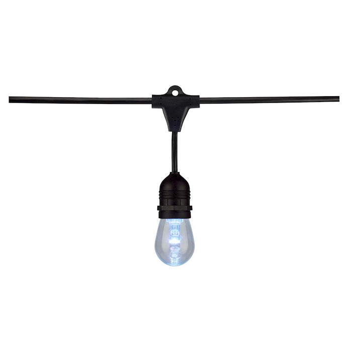 Nuvo Lighting 48' LED String Light, 15-S14 Lamp/12V RGBW/Infrared Remote