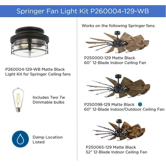 Progress Lighting Springer Ii Light Kit