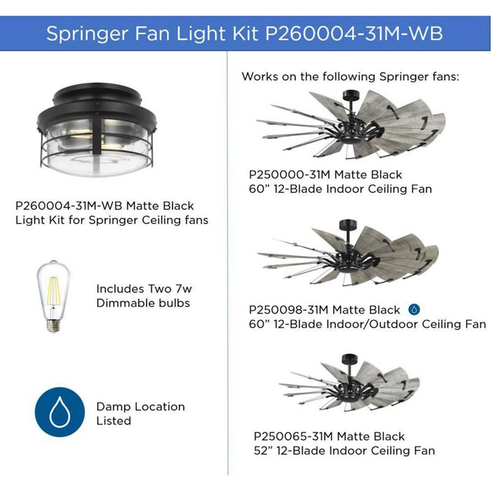 Progress Lighting Springer Ii Light Kit