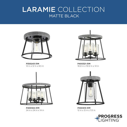 Progress Lighting Laramie 1-Light Flush Mount, Black/Clear Seeded