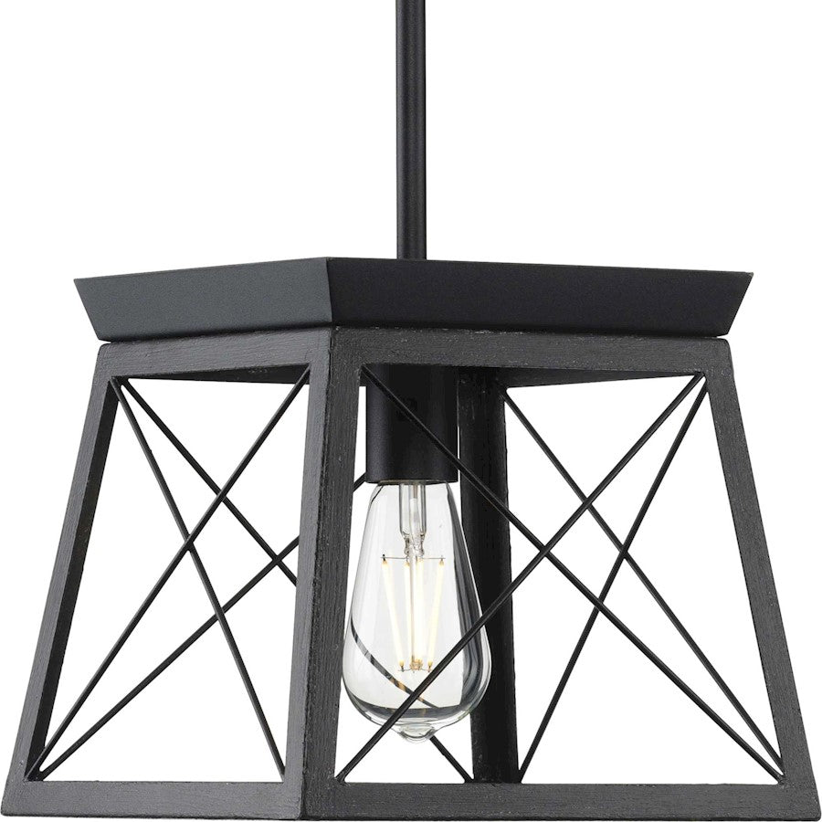 Progress Lighting Briarwood 1 Light Mini-Pendant, Black - P500041-031