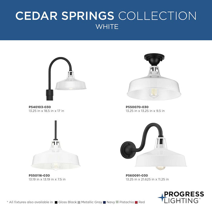 Progress Lighting Cedar Springs 1-Light Outdoor Post Lantern