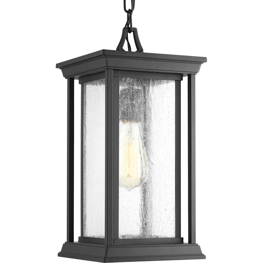 Progress Lighting Endicott 1-Light Hanging Lantern, Black