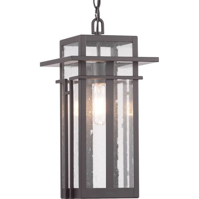 Progress Lighting Boxwood 1-Light Hanging Lantern, Seeded/Bronze