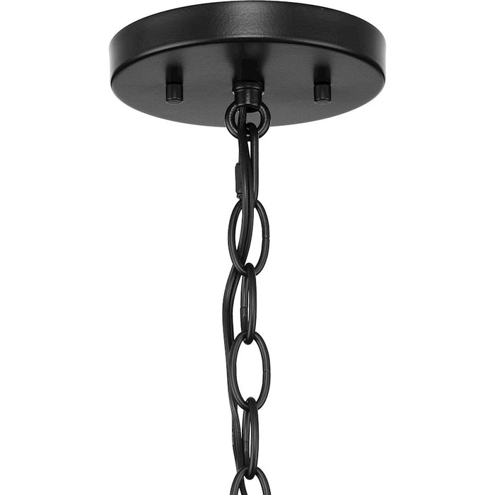 Progress Lighting Keegan 1-Light Outdoor Hanging Lantern, Black/Clear