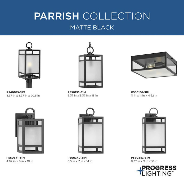 Progress Lighting Parrish 1-Light Outdoor Hanging Lantern, Black/Etched